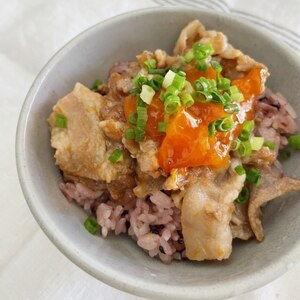 かきこみたくなる美味しさ！オニオンおろしの豚バラ丼